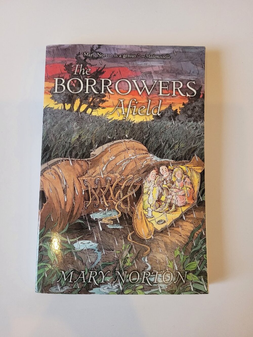 [3/$25] The Borrowers Afield by Mary Norton Paperback